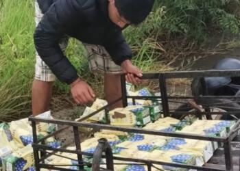 Vecinos saquearon las cajas de vino del camión volcado en acceso sur