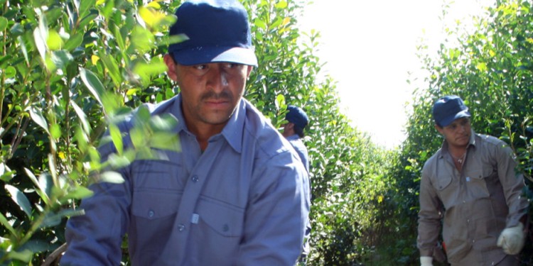 LEVE AUMENTO. Para la UATRE el aumento no llega a ser suficiente para compensar el aumento de la canasta básica.