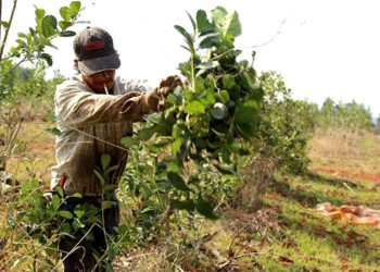 Rotundo rechazo a eliminar la estampilla del INYM