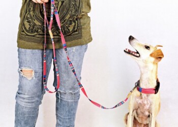 Salir a pasear tranquilos y relajados