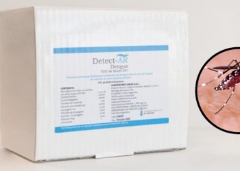 Kit Detect-AR Dengue: así funciona el test rápido de fabricación nacional