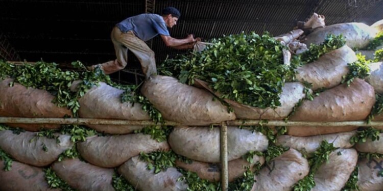 Imagen ilustrativa (Archivo)