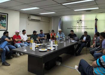 Yerba: fin de la protesta, sin cosecha y 450 pesos por kilo de hoja