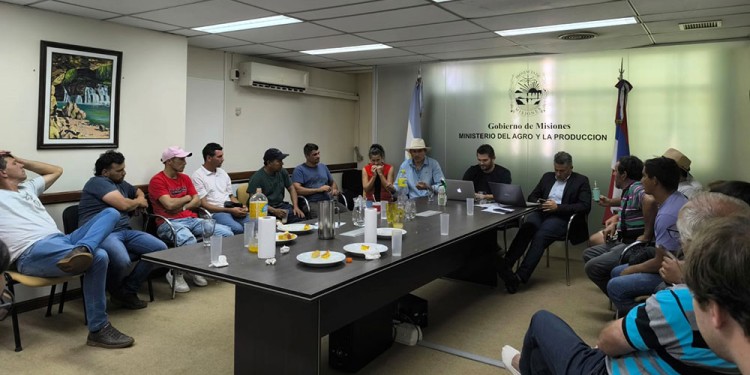 SIN PRECIO OBLIGATORIO. Los representantes de los productores solicitaron $450 por kilo de hoja verde.