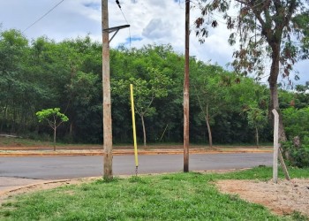 Baldío abandonado tiene en jaque a los vecinos de la chacra 245