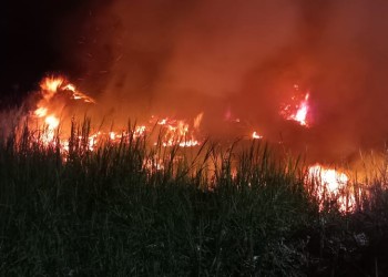 Bomberos y vecinos sofocaron un incendio de malezas en Garupá