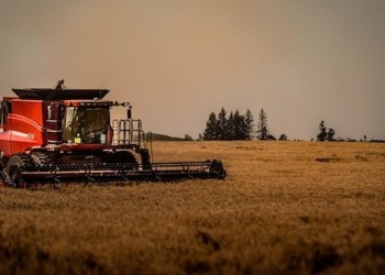 Alerta en la industria: el Gobierno analiza desregular la importación de máquinas usadas