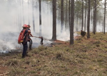 Trece departamentos de Misiones en alerta por alto riesgo de incendios