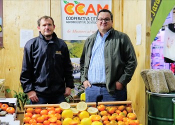 La Citrícola de Alem a concurso preventivo por millonarias deudas y para evitar quiebra