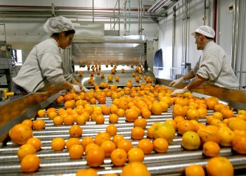 Quitan beneficios impositivos y sancionan a citrícola de Misiones por “incumplimientos”