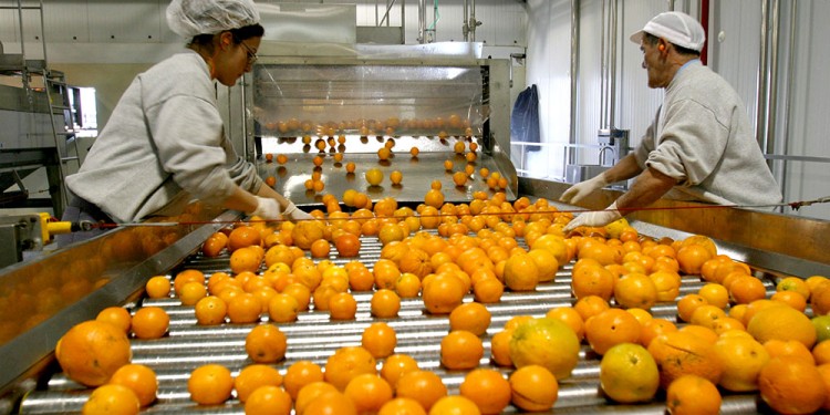 REACTIVANDO. Luego de un 2023 conflictivo y en crisis, el año pasado la Provincia ayudó a normalizar la entidad.