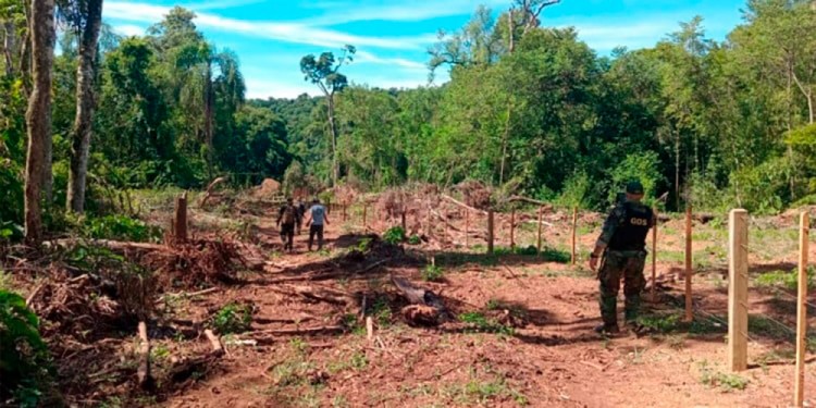 SANCIONES. El Ministerio de Ecología anunció que iniciará acciones penales y administrativas.