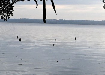 “Lamentablemente la limpieza de la costa del río fue poco y nada en algunos lugares”