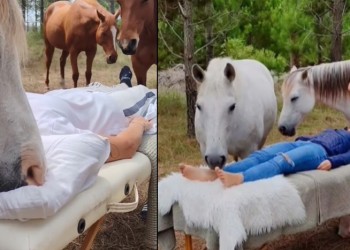 Guías para la curación interior