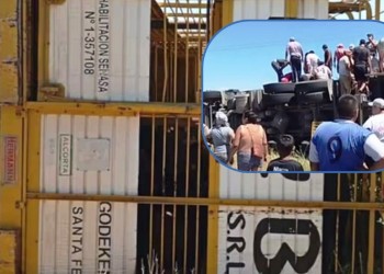 Volcó un camión con vacas en la ruta 8: lo saquearon y las faenaron en la banquina