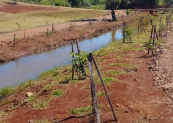 Apeo masivo en Dos de Mayo: sin multas, al menos pusieron plantines