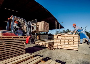 La forestoindustria sería la beneficiada por la quita de retenciones en Misiones