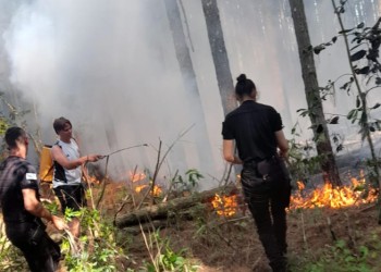 Fuego afectó una plantación en Panambí y hay alerta por incendios en toda la provincia