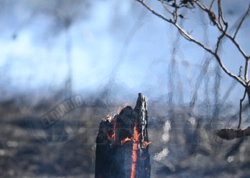 El incendio en Itaembé Guazú en fotos
