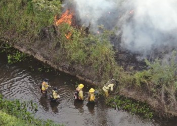 Paraguay declaró emergencia nacional por incendios forestales
