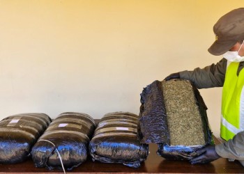 Gendarmería secuestró más de media tonelada de marihuana en Misiones