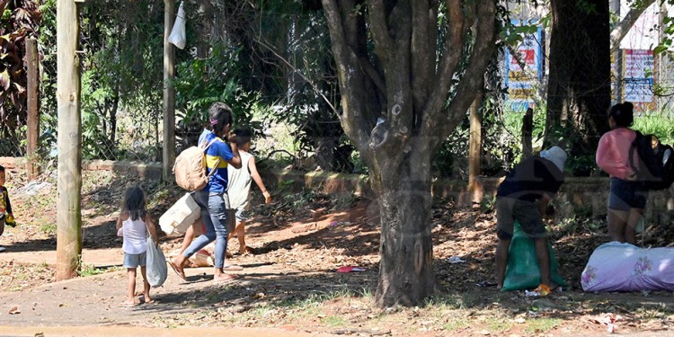 MENOS. En Posadas, bajó el número de niños mbya que acostumbraban a llegar desde distintas comunidades a vender limón en avenidas del centro, a la zona de La Placita del Puente o de la Terminal de Ómnibus.