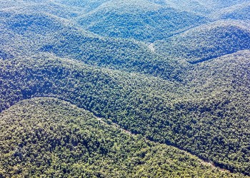 No detectaron desmontes en los parques Piñalito y Esmeralda