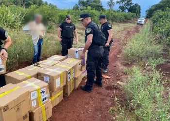 Secuestraron cigarrillos electrónicos de contrabando valuados en más de 100 millones de pesos