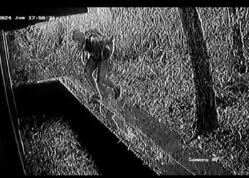 Imputaron al “spiderman” de Iguazú