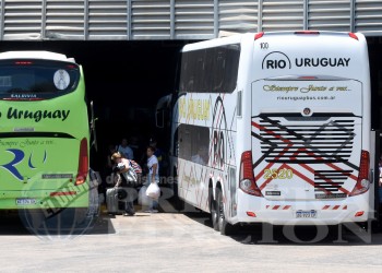 “Llegamos a sacar hasta  diez colectivos diarios a Brasil”