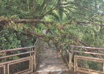 Fuerte temporal de lluvia y viento afectó el paseo por las Cataratas del Iguazú