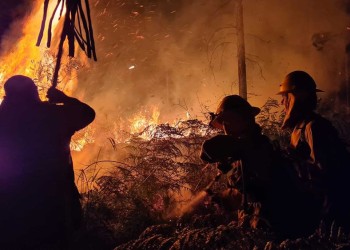 Incendios: buscan implementar un sistema de alerta temprana en reservas