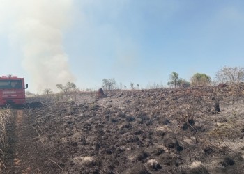 “Todos tenemos que aportar un granito de arena” contra los incendios