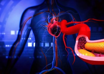 Estos son los alimentos que más suben el colesterol