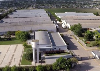 Anunciaron el cierre de una fábrica de zapatillas del Grupo Dass