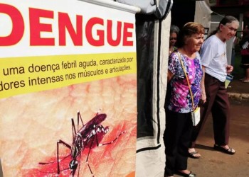 Récord: Brasil cerró el 2024 con un registro de casi 6,5 millones de casos de dengue