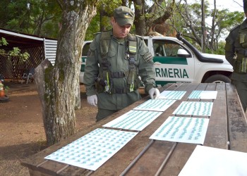 Detienen a un hombre que partió de Posadas con más de 600 pastillas de éxtasis