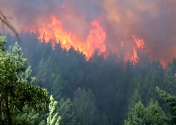 El incendio en el Parque Nacional Nahuel Huapi está fuera de control