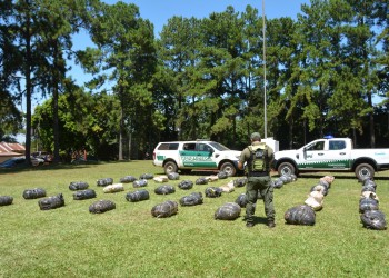 Gendarmería Nacional secuestró más de 850 kilos de marihuana en Misiones