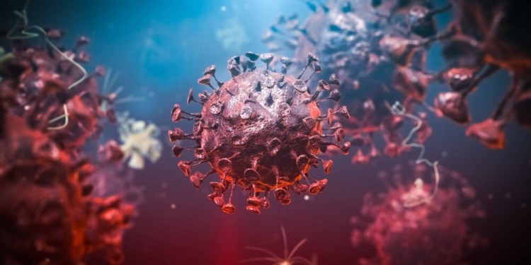 Qué es el metapneumovirus humano