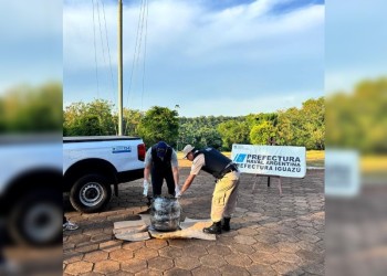 Prefectura incautó 14 kilos de marihuana en Misiones