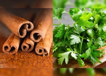 Canela, perejil y agua: el poderoso y milenario ritual para atraer abundancia