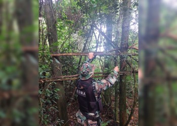 Operativo en San Vicente: destruyeron instalaciones utilizadas para la caza furtiva