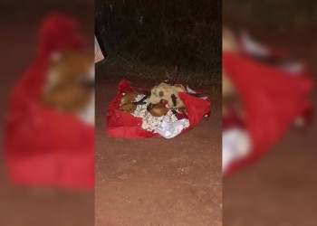Misterio en Misiones: hallan ofrenda ritual en pleno barrio