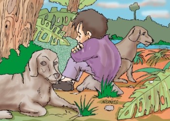 Sucedió un atardecer