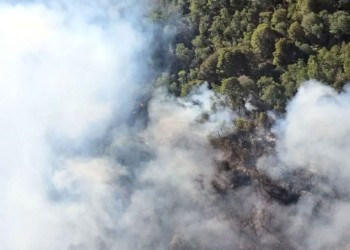 Incendios arrasan más de 2 mil hectáreas en el Parque Nacional Nahuel Huapi