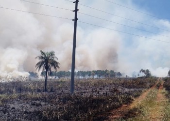 Posadas: incendio afecta parte de la reserva Zaimán durante este mediodía