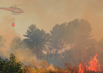 Reiteran la extrema peligrosidad por incendios en Misiones