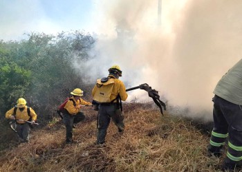 En lo que va de enero, los focos de incendios en Paraguay superan el promedio histórico