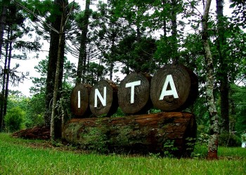 En febrero, la Nación firmaría con Misiones el traspaso de la reserva San Antonio